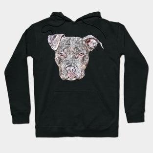 American Pit Bull Terrier Face Hoodie